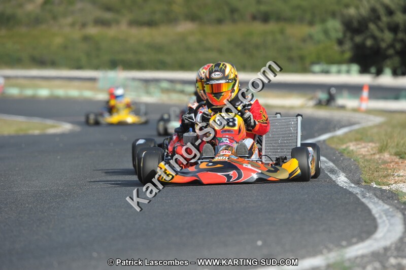DSC (3979).JPG